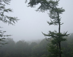 Mlhavá a mokrá neděle v krušnohoří
